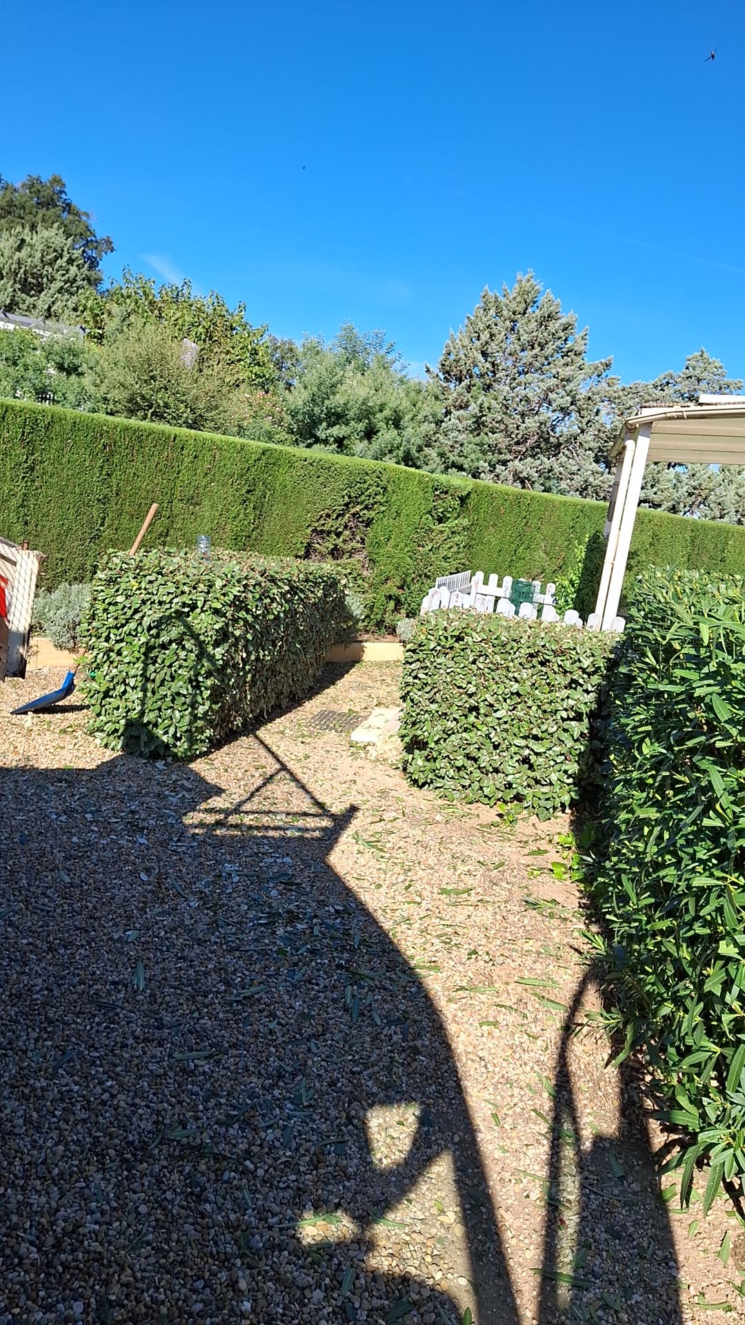 Haies taillées et jardin entretenu, entretien de jardin par un paysagiste dans le Var