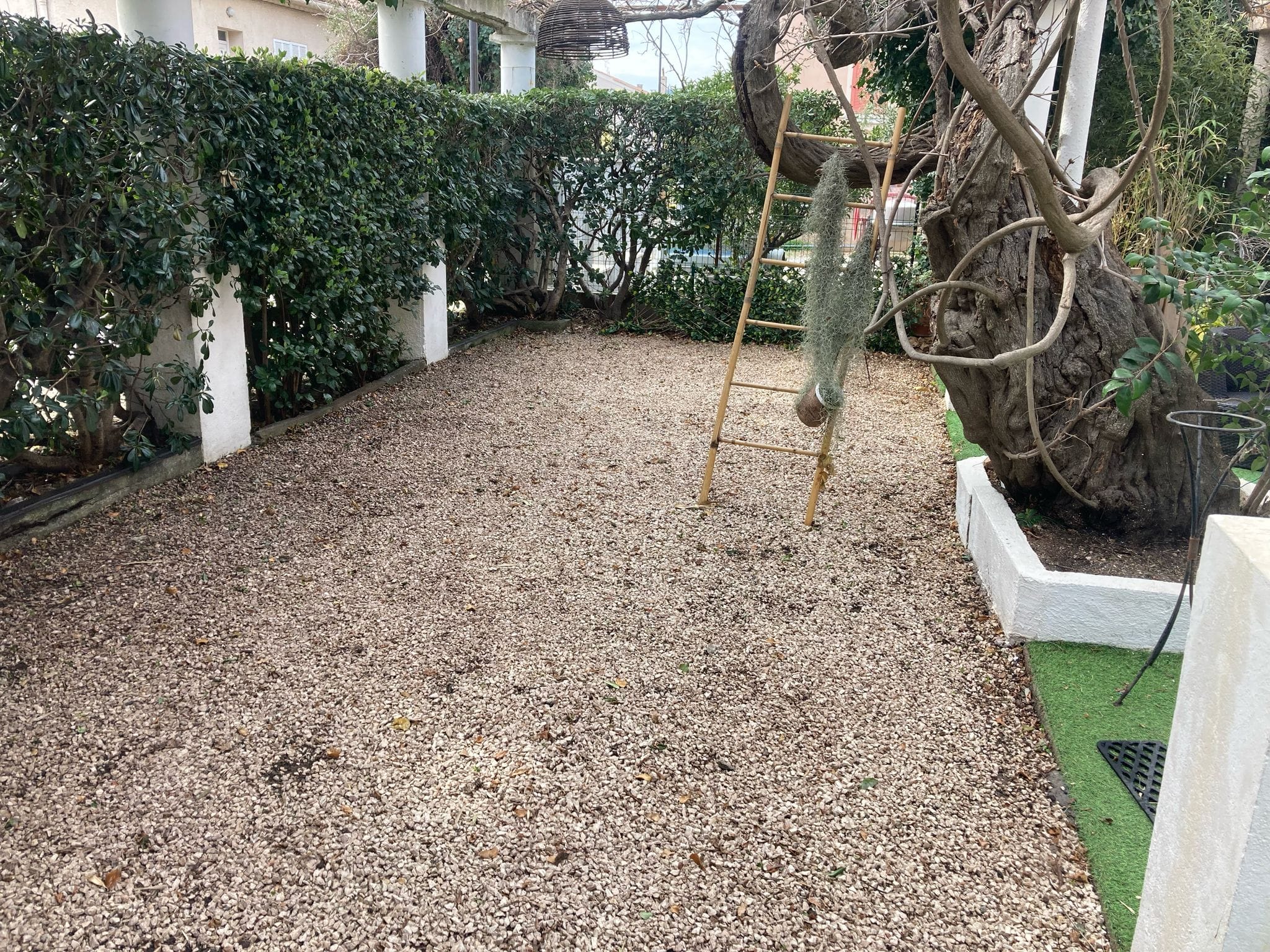 Terrasse sous la glycine — avant