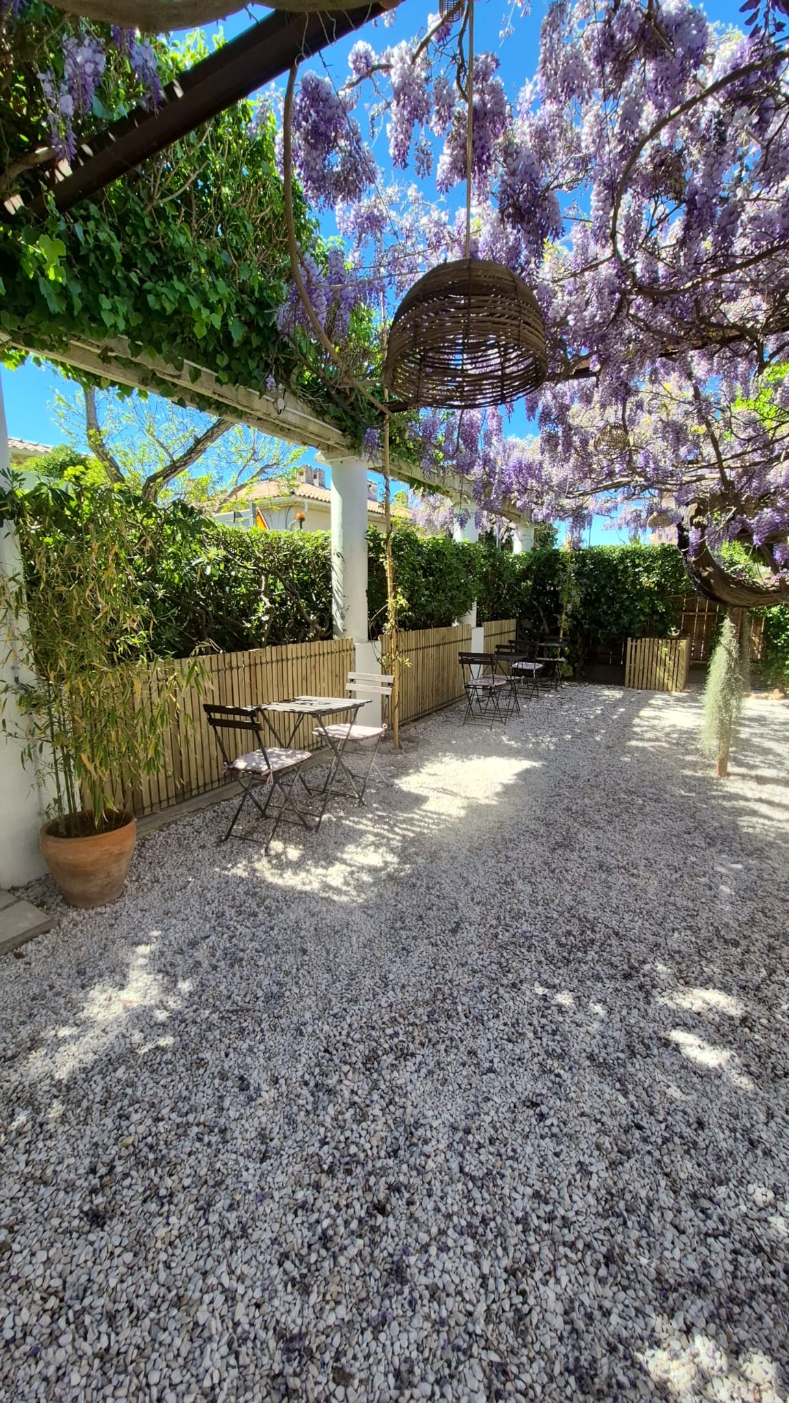 Terrasse sous la glycine — après