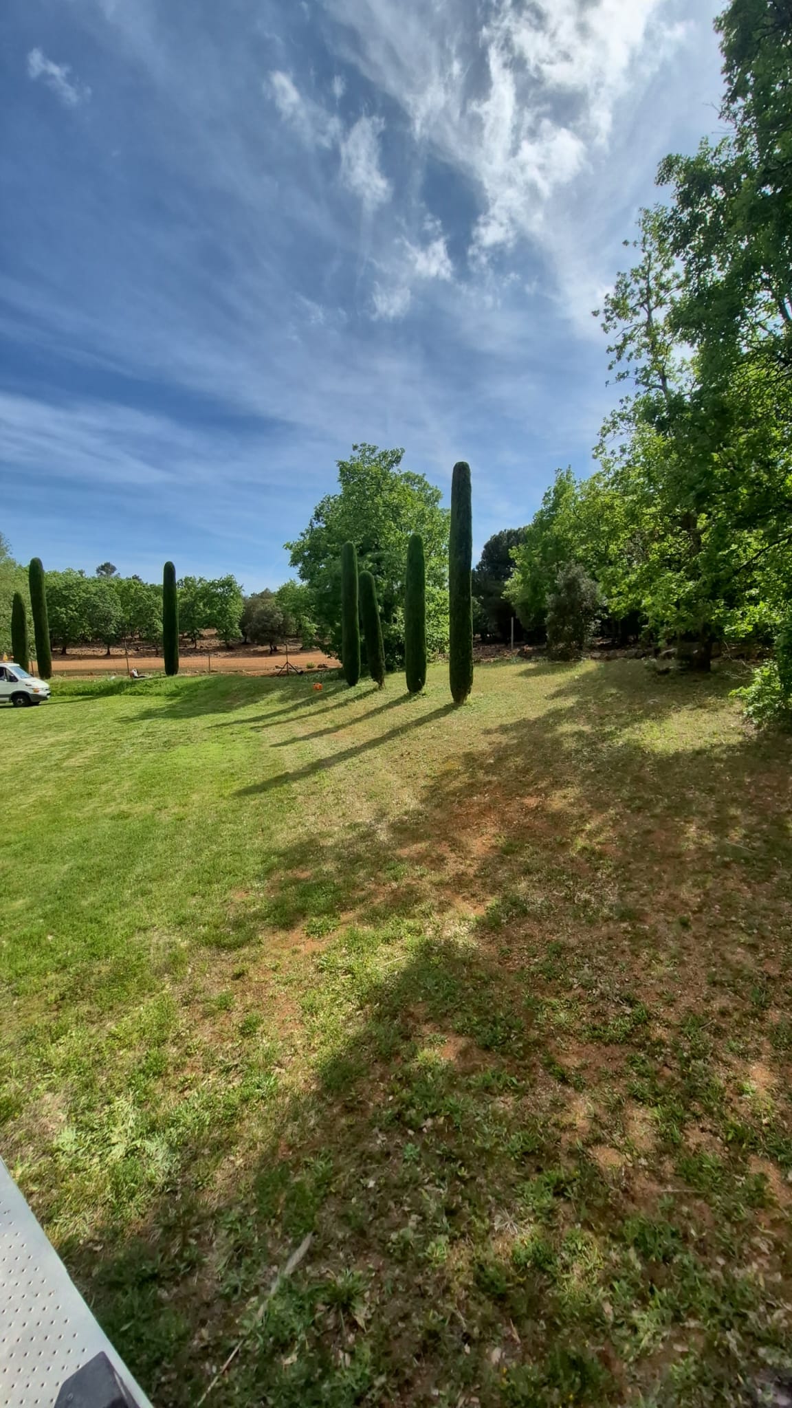 Pelouse verdoyante et cyprès de Provence taillés, jardin paysager entretenu dans le Var