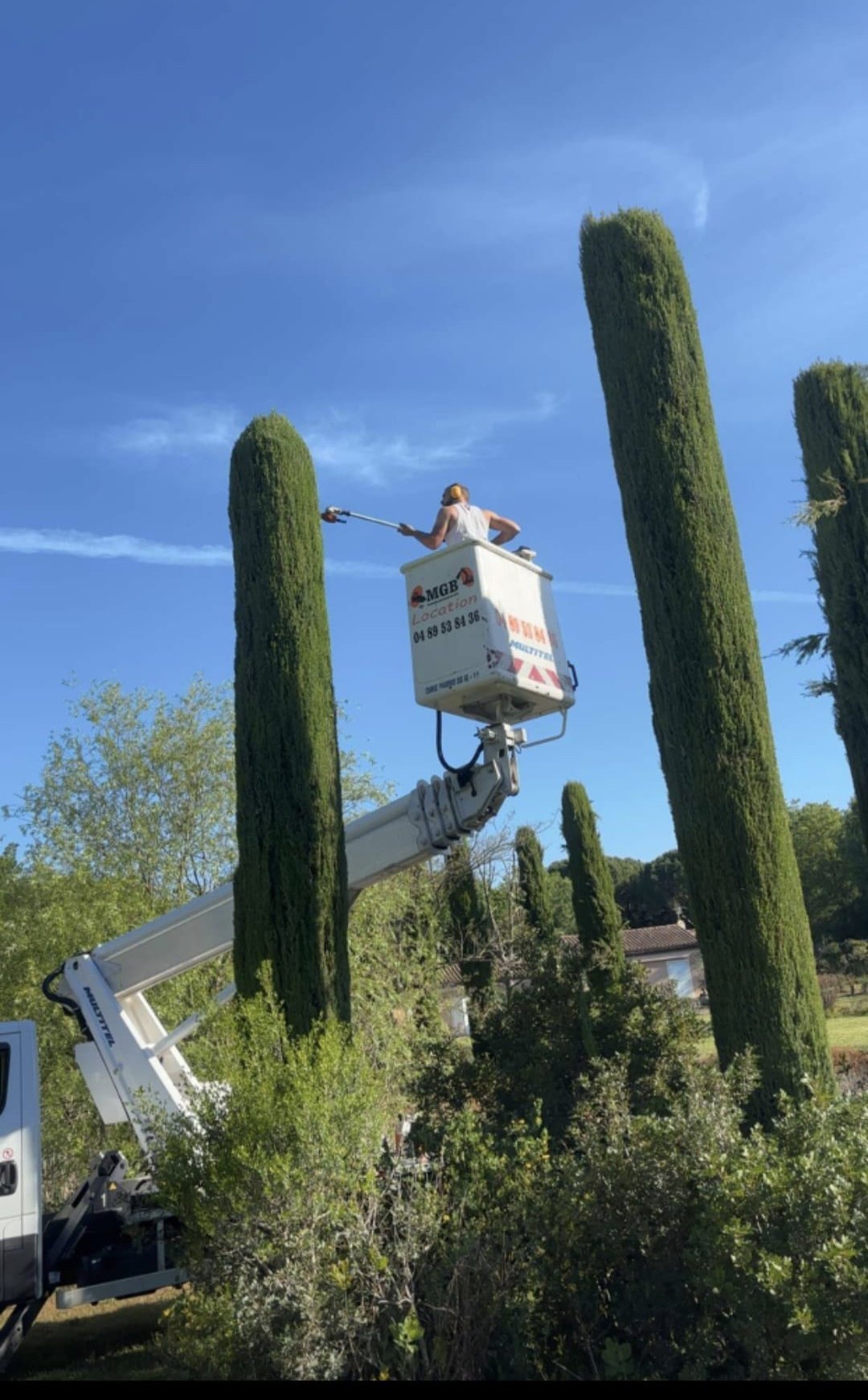 Élagueur en nacelle élévatrice taillant à la perche de grands cyprès de Provence, sous un ciel d'été.